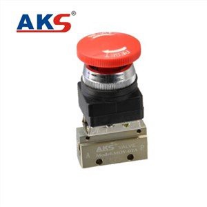 Pneumatische Mechanische Klep